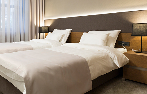 Bed Bugs