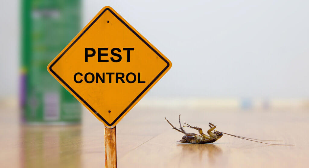 Desert Castle Pest Control Mesa AZ Pest Rodent Termite Control Company pest control stinging insect pest control diy e1652389672156